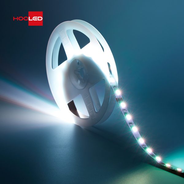 Striscia led rgb 5M 4000K-Neon a LED--HOOLED