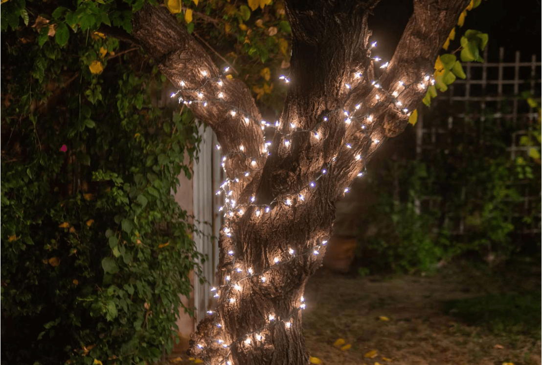 Come mettere le luci su un albero in giardino-Approfondimenti-Enciclopedia della luce LED-HOOLED