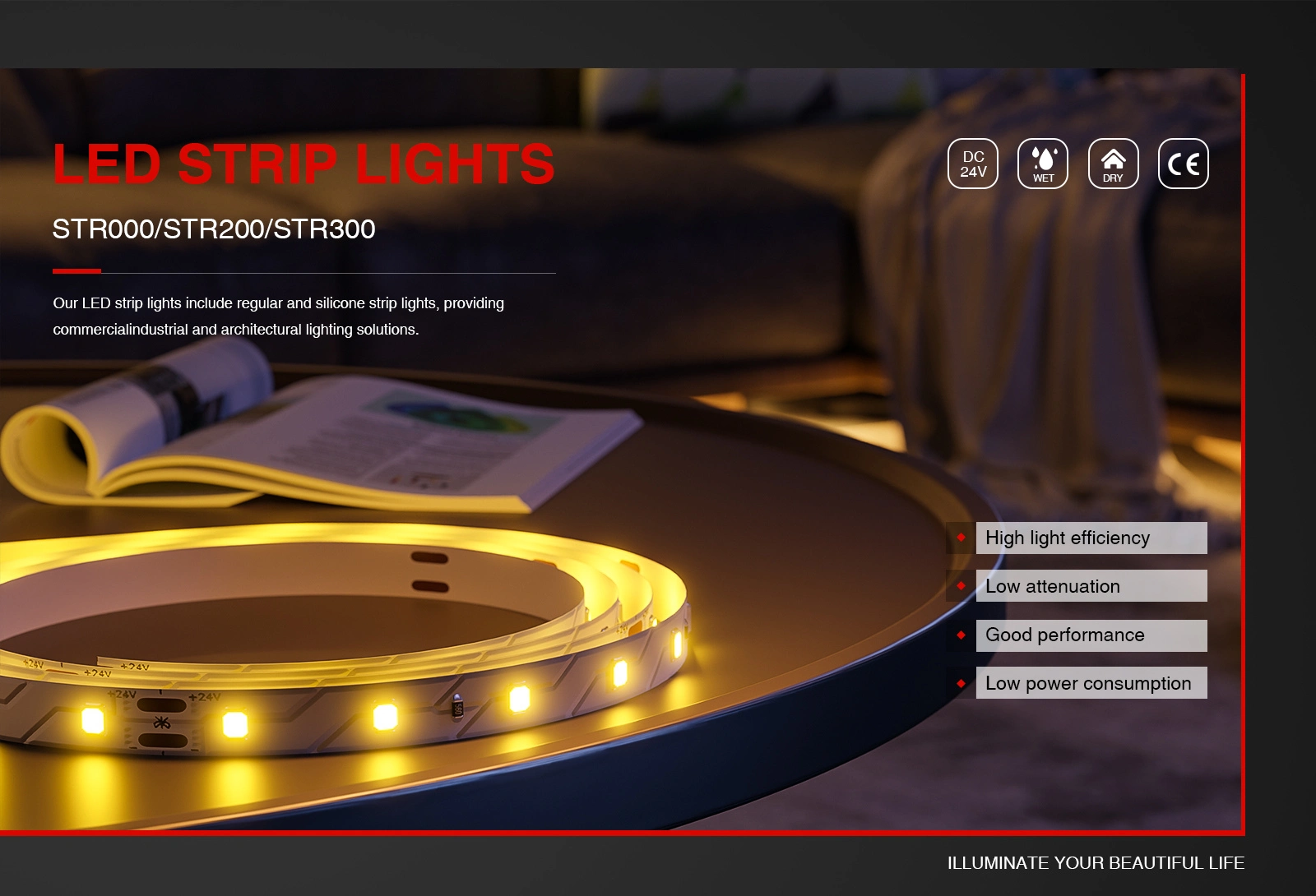 STR016  illuminazione striscia LED soffitto 6500K 24V 8W/m 1072lm/M-Striscia LED-01-HOOLED