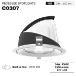 CSL003-A 30W 3000K 24° oro hole Φ 140 faretti da incasso soffitto-Faretti da incasso-C0307 01-HOOLED