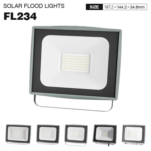 FL234 50W 4000K  IP65 4500lm Proiettore LED-Proiettore LED-FL234 01-HOOLED