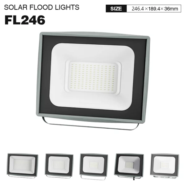 FL246 100W 6500k IP65 10000lm Proiettore LED-Proiettore LED-FL246 01-HOOLED