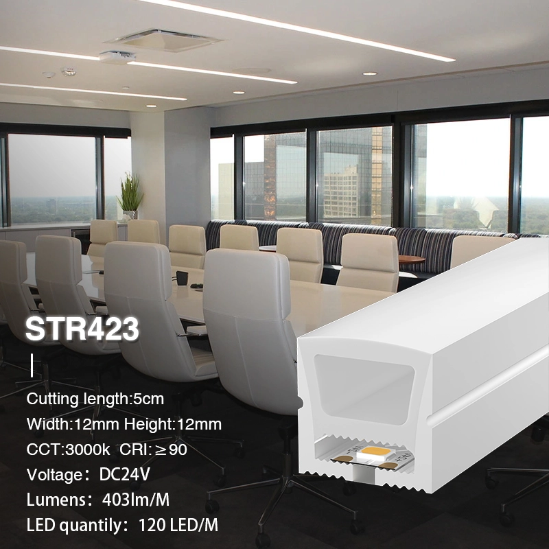 L50000*W12*H12mm SMD 3000K Ra90 IP65 120LEDs/m 24V STR423 Striscia LED silicone-Striscia LED-STR423 02-HOOLED