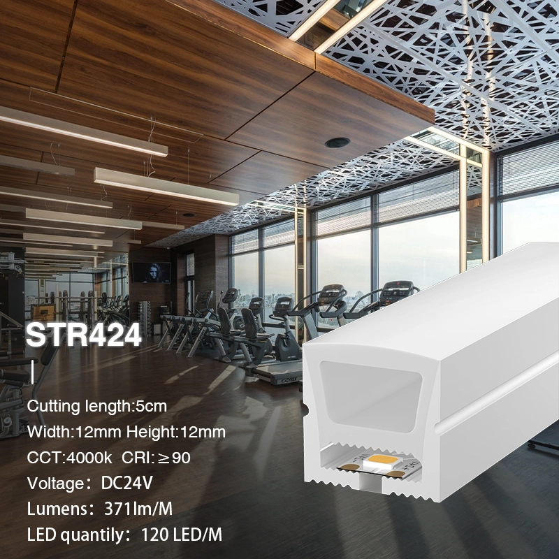 L50000*W12*H12mm SMD 4000K Ra90 IP65 120LEDs/m 24V STR424 Striscia LED in silicone-Striscia LED-STR424 02-HOOLED
