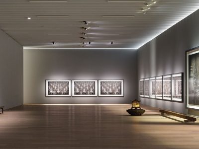Un numero di lumen maggiore significa una luce più luminosa?